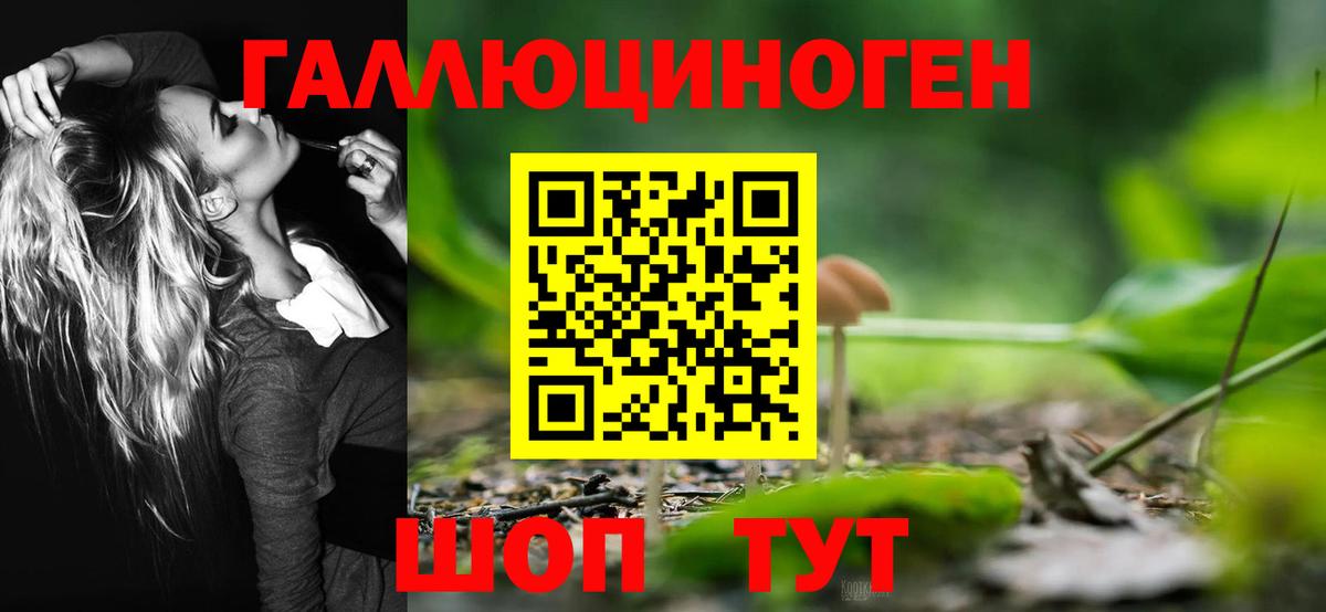 Москва  Галлюциногенные грибы Magic Shrooms  сколько стоит  Вход с VPN 