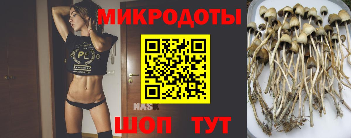 Галлюциногенные грибы Cubensis Москва